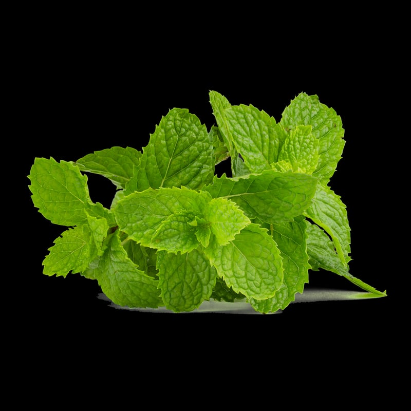 Mint Leaves